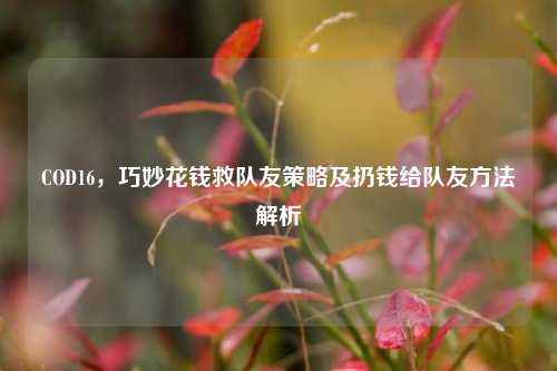 COD16，巧妙花钱救队友策略及扔钱给队友方法解析