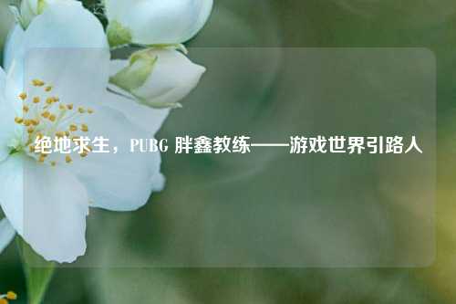 绝地求生，PUBG 胖鑫教练——游戏世界引路人