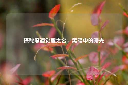 探秘魔道觉醒之名，黑暗中的曙光