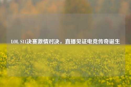 LOL S11决赛激情对决,直播见证电竞传奇诞生