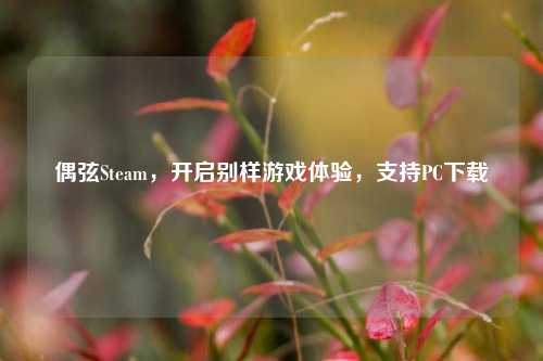 偶弦Steam,开启别样游戏体验,支持PC下载