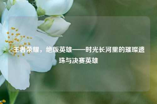 王者荣耀，绝版英雄——时光长河里的璀璨遗珠与决赛英雄