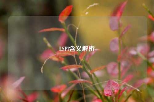 LSPl含义解析
