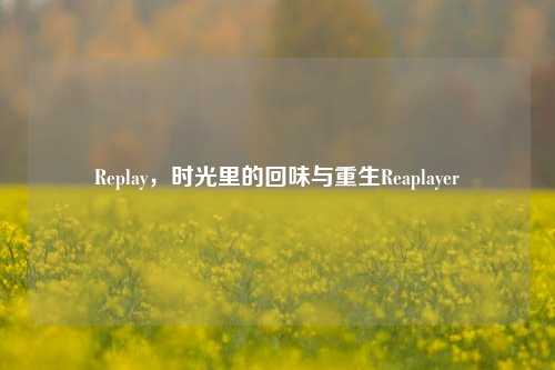 Replay，时光里的回味与重生Reaplayer