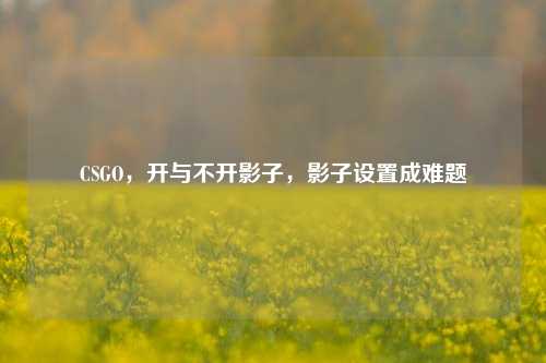 CSGO，开与不开影子，影子设置成难题