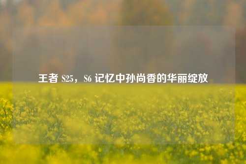 王者 S25，S6 记忆中孙尚香的华丽绽放