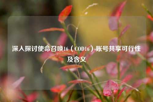 深入探讨使命召唤16（COD16）账号共享可行性及含义