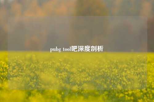 pubg tool吧深度剖析