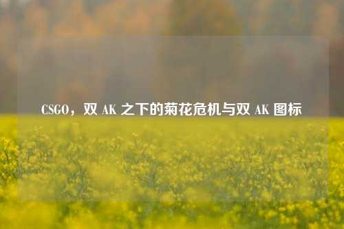 CSGO，双 AK 之下的菊花危机与双 AK 图标