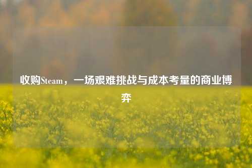 收购Steam,一场艰难挑战与成本考量的商业博弈