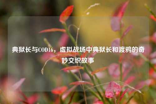 典狱长与COD16，虚拟战场中典狱长和渡鸦的奇妙交织故事