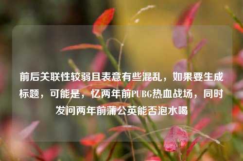 前后关联性较弱且表意有些混乱,如果要生成标题,可能是,忆两年前PUBG热血战场,同时发问两年前蒲公英能否泡水喝