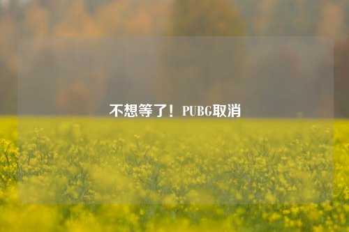 不想等了!PUBG取消