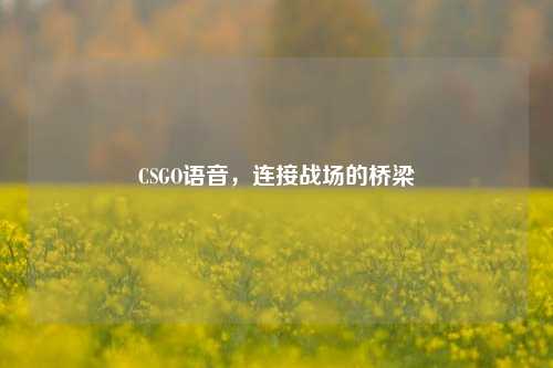 CSGO语音,连接战场的桥梁
