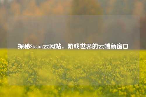 探秘Steam云网站,游戏世界的云端新窗口