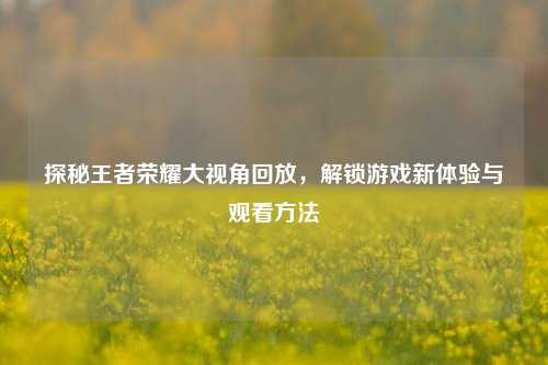探秘王者荣耀大视角回放,解锁游戏新体验与观看方法