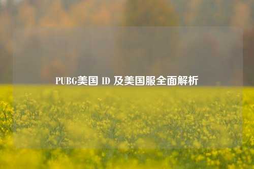 PUBG美国 ID 及美国服全面解析