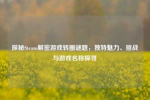 探秘Steam解密游戏转圈谜题,独特魅力、挑战与游戏名称探寻
