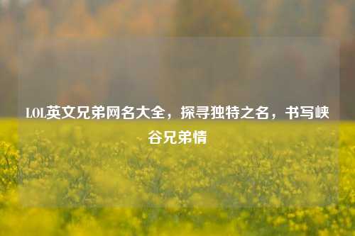 LOL英文兄弟网名大全,探寻独特之名,书写峡谷兄弟情