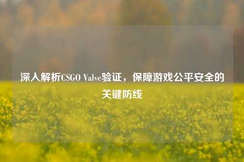 深入解析CSGO Valve验证,保障游戏公平安全的关键防线