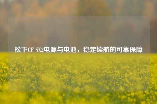 松下CF SX2电源与电池,稳定续航的可靠保障