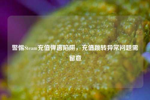 警惕Steam充值弹窗陷阱,充值跳转异常问题需留意