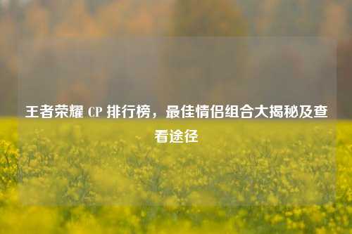 王者荣耀 CP 排行榜,最佳情侣组合大揭秘及查看途径