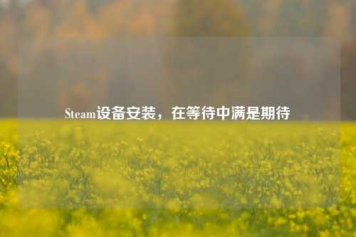 Steam设备安装,在等待中满是期待