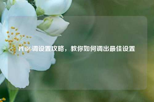 PUBG调设置攻略，教你如何调出最佳设置