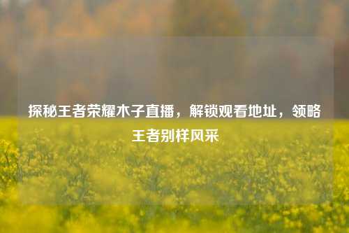探秘王者荣耀木子直播,解锁观看地址,领略王者别样风采