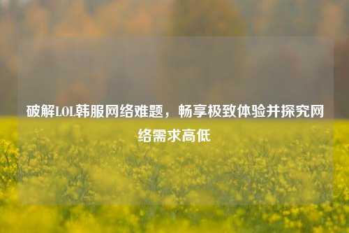 破解LOL韩服网络难题,畅享极致体验并探究网络需求高低