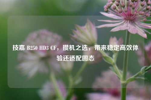 技嘉 B250 HD3 CF,攒机之选,带来稳定高效体验还适配固态