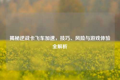 揭秘逆战卡飞车加速,技巧、风险与游戏体验全解析