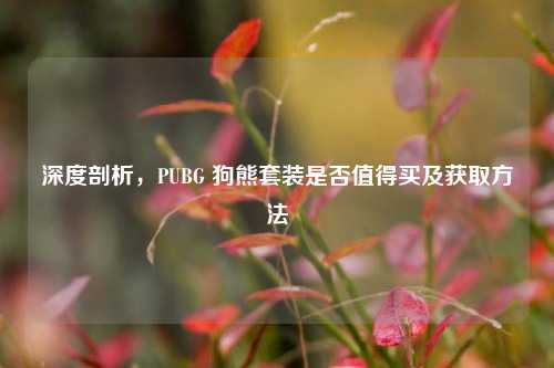 深度剖析,PUBG 狗熊套装是否值得买及获取方法