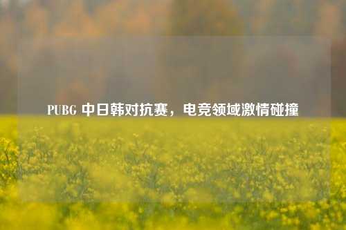 PUBG 中日韩对抗赛,电竞领域激情碰撞