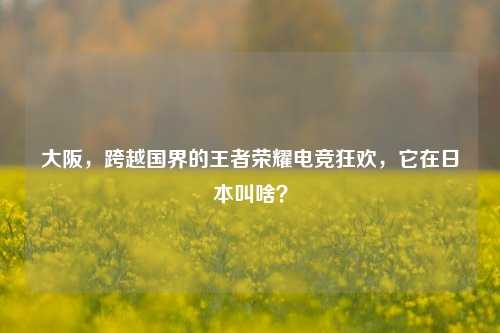 大阪,跨越国界的王者荣耀电竞狂欢,它在日本叫啥?