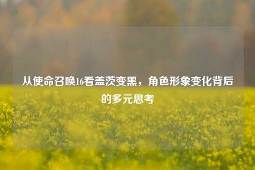 从使命召唤16看盖茨变黑,角色形象变化背后的多元思考