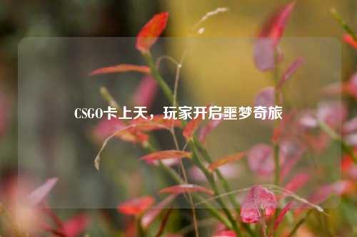 CSGO卡上天,玩家开启噩梦奇旅