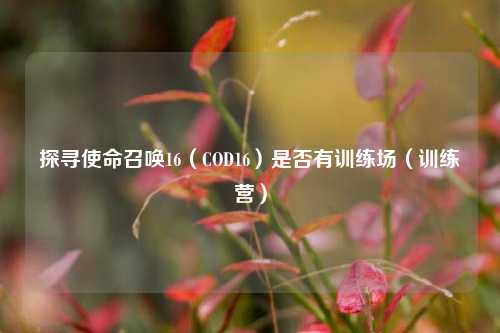 探寻使命召唤16(COD16)是否有训练场(训练营)