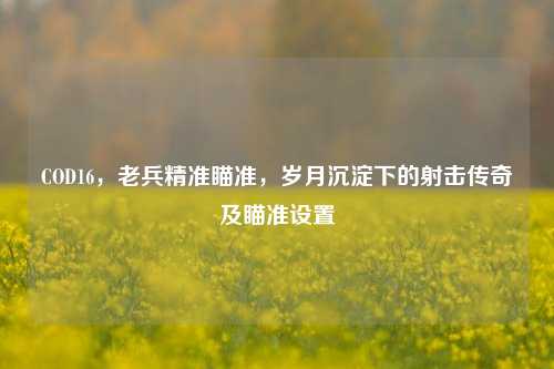 COD16,老兵精准瞄准,岁月沉淀下的射击传奇及瞄准设置