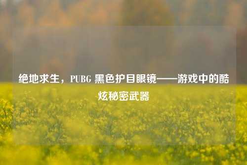 绝地求生,PUBG 黑色护目眼镜——游戏中的酷炫秘密武器