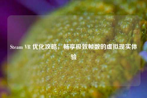 Steam VR 优化攻略,畅享极致帧数的虚拟现实体验