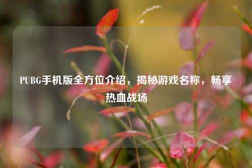 PUBG手机版全方位介绍，揭秘游戏名称，畅享热血战场