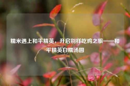 糯米遇上和平精英,开启别样吃鸡之旅——和平精英白糯汤圆