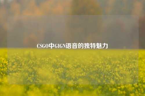 CSGO中GIGN语音的独特魅力