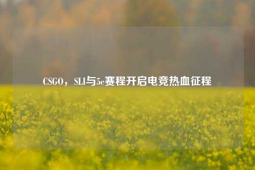 CSGO,SLI与5e赛程开启电竞热血征程