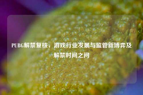 PUBG解禁复核,游戏行业发展与监管新博弈及解禁时间之问