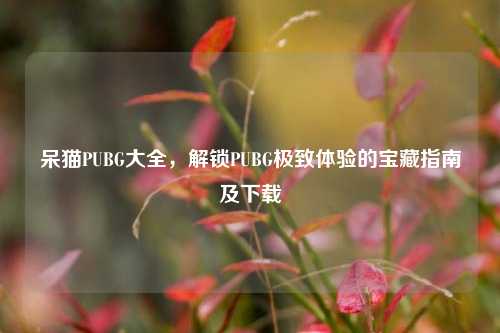 呆猫PUBG大全，解锁PUBG极致体验的宝藏指南及下载