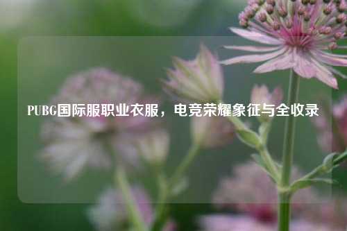 PUBG国际服职业衣服,电竞荣耀象征与全收录