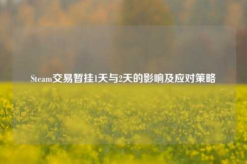 Steam交易暂挂1天与2天的影响及应对策略